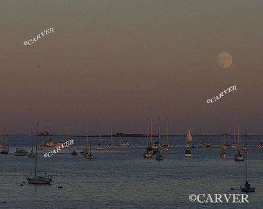 Moonrise Darkly
The moon rises above Beverly Harbor.
Keywords: Beverly; moonrise; beach; ocean; photograph; picture; print