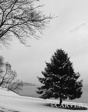 Monochrome Weather
A gray day at Independence park in Beverly, MA.
Keywords: Beverly; park; winter; snow; beach; ocean; tree; photograph; picture; print