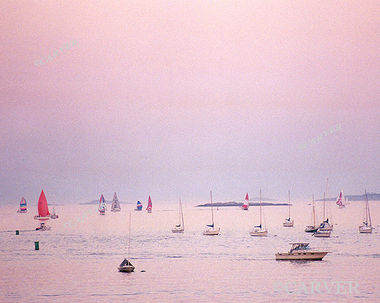 Pinked Beach
Colors of the twilight sky opposite of the sunset are seen here 
in this view from Independence Park in Beverly, MA.
Keywords: Beverly; sunset; beach; ocean; pink; boats; photograph; picture; print