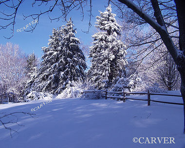 Fresh Dusting
A front yard scene in Wenham, MA on a day after a snowstorm.
Keywords: Winter; snow; blue sky; photograph; picture