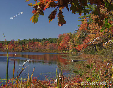 Wet with Color
A fall day at Stevens Pond in Boxford, MA.
Keywords: Foliage; color; stevens pond; boxford; photograph; picture; print